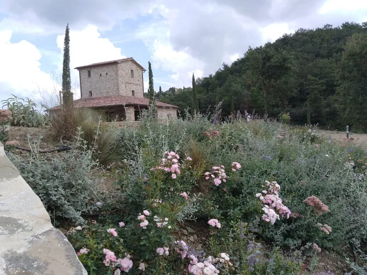 La Foce, photo 5