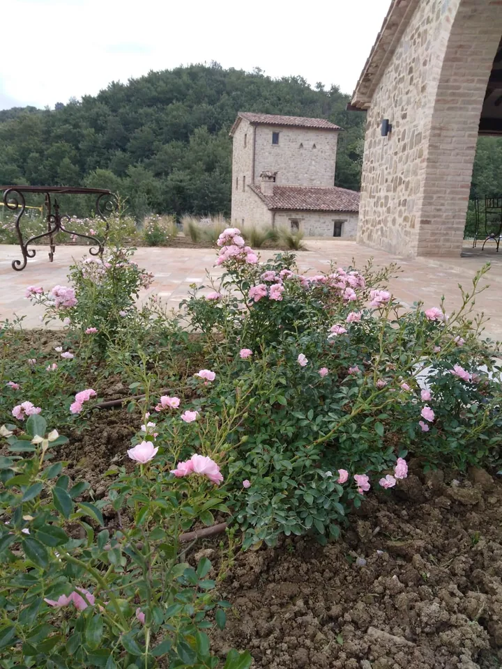 La Foce, photo 12